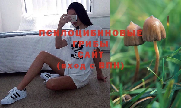 MDMA Арсеньев