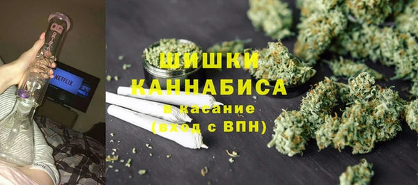 ГАЛЛЮЦИНОГЕННЫЕ ГРИБЫ Аркадак