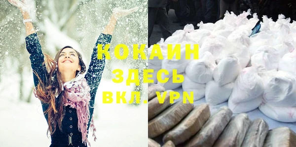 ГАЛЛЮЦИНОГЕННЫЕ ГРИБЫ Аркадак