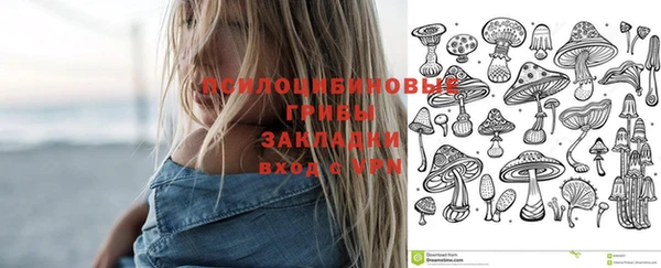 ГАЛЛЮЦИНОГЕННЫЕ ГРИБЫ Аркадак