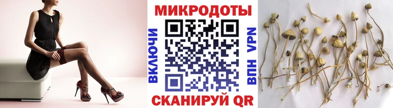 Галлюциногенные грибы мицелий  даркнет сайт  Баймак 